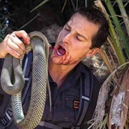 Bear Grylls