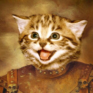 meowmeow332