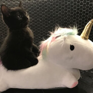 oooooooooooooooooooooooooooooooo