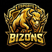 Bizons | Mr.Domestosek