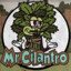 MisterCilantro