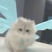 师傅米饭黑了真能吃吗