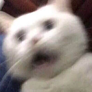 给我也整一个