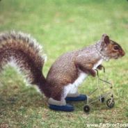 aERTHJAERNA! [cs.money]