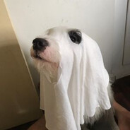 Kølöp