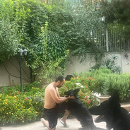 ⊀SiBiL⊁︎Dr Vaghef