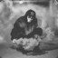 Crims0n_zer0's avatar