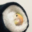 cloud opa