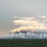 我是丁真给我一根悦刻5