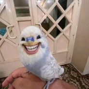 САША СИМПЛ РАМПАГ