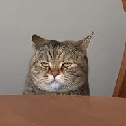 Tsenk avatar