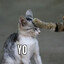 CortaFierro15