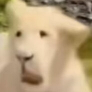 圣三一学院躺平手花子