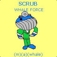 Scrubsauce