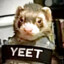 Tactical Ferret