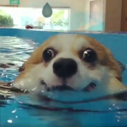 Waterboye