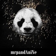 mrpandAniNe