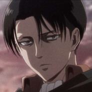 Levi