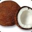 Coconut Milk