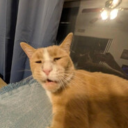Potato