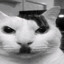 Kitler