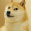 Doge