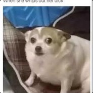 autismo (ur wifu is shit)