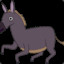 Donkey