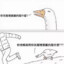 flower_goose