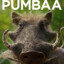 Pumba