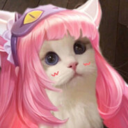 小猫爱吃鱼罐头