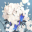 Dkoria 期末从期中开始.ver