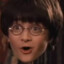 HarryPogger