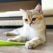 𝖈𝖍𝖎𝖑𝖑 𝖔𝖓