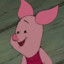 Piglet