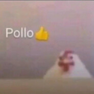 pollo 👍