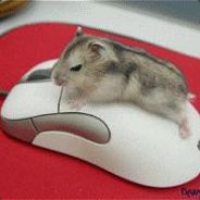 ahlongboy - steam id 76561197961172844