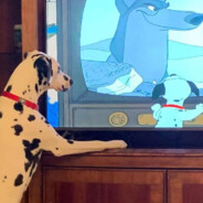 劈你的雷正在路上