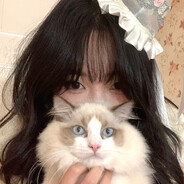 八云家的十六夜