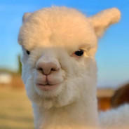 她胜似人间万物