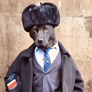 El dogo avatar