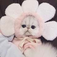 萌新也想要皮一皮吖0.0