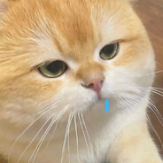 玩家头像