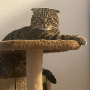 ꧁ÐĚӍ҉Ǿ₦︻ȺŠ₮Ⱥ꧂