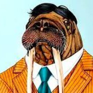 Mr. Walrus