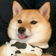 小白