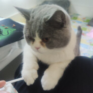 王位你坐. 江山我打.