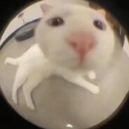 这把枪的准星偏左