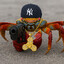 crab