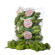Pimiento de Padron